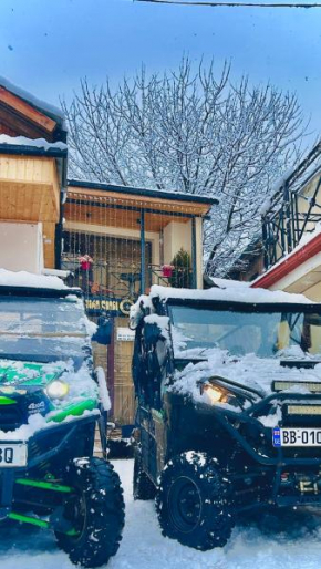 NEW LION Kingdom in Borjomi
